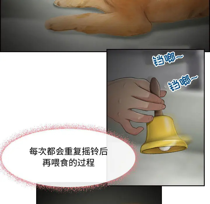 第5頁