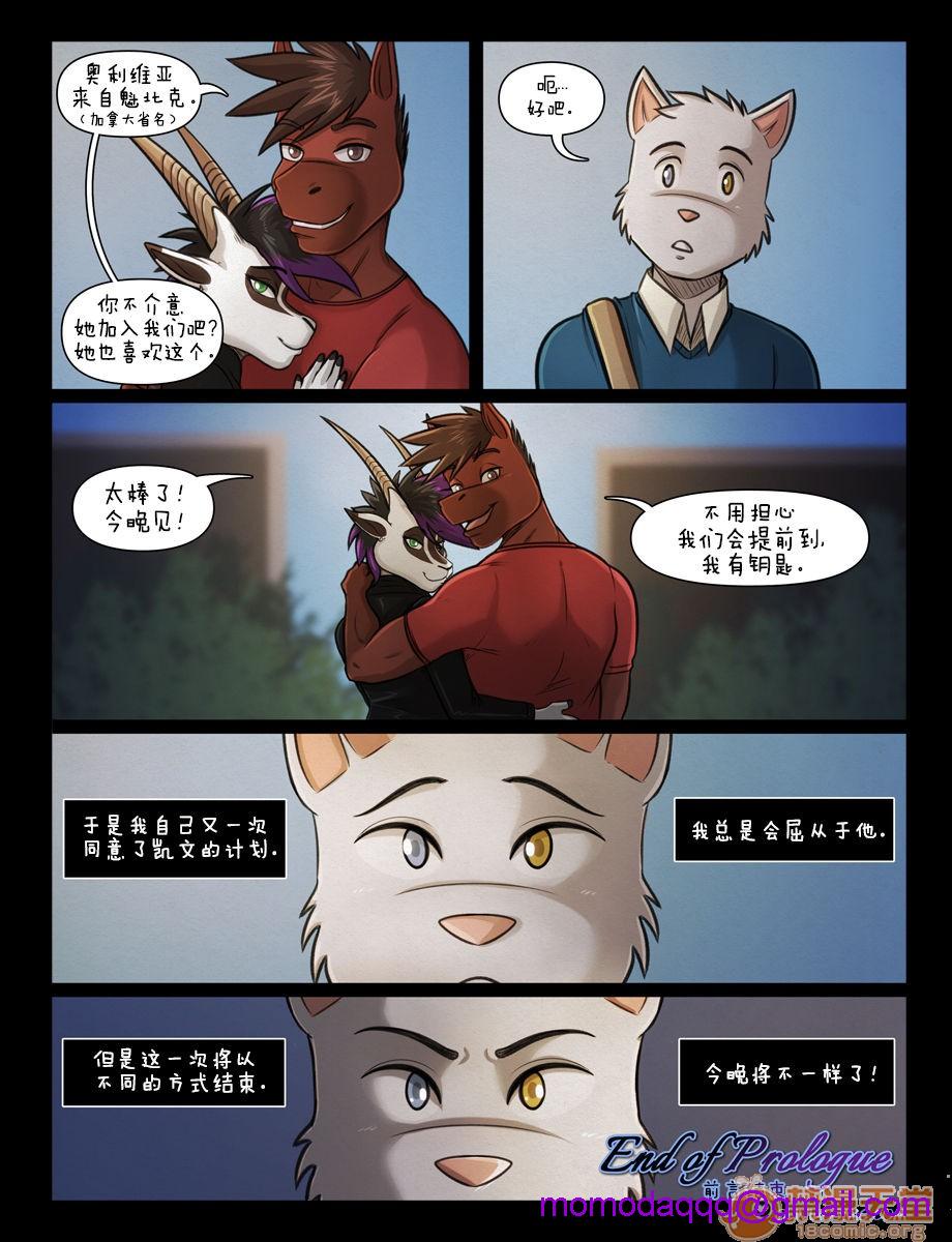 第5頁