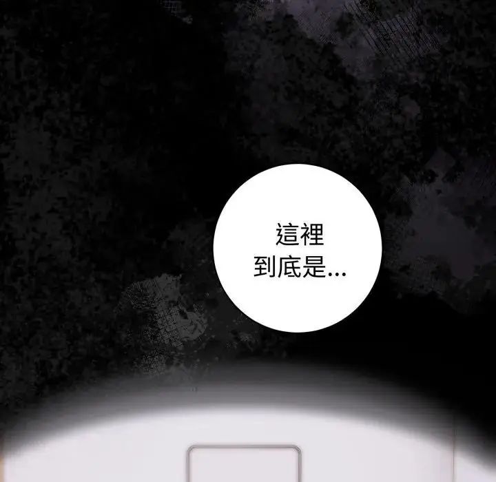 第5頁